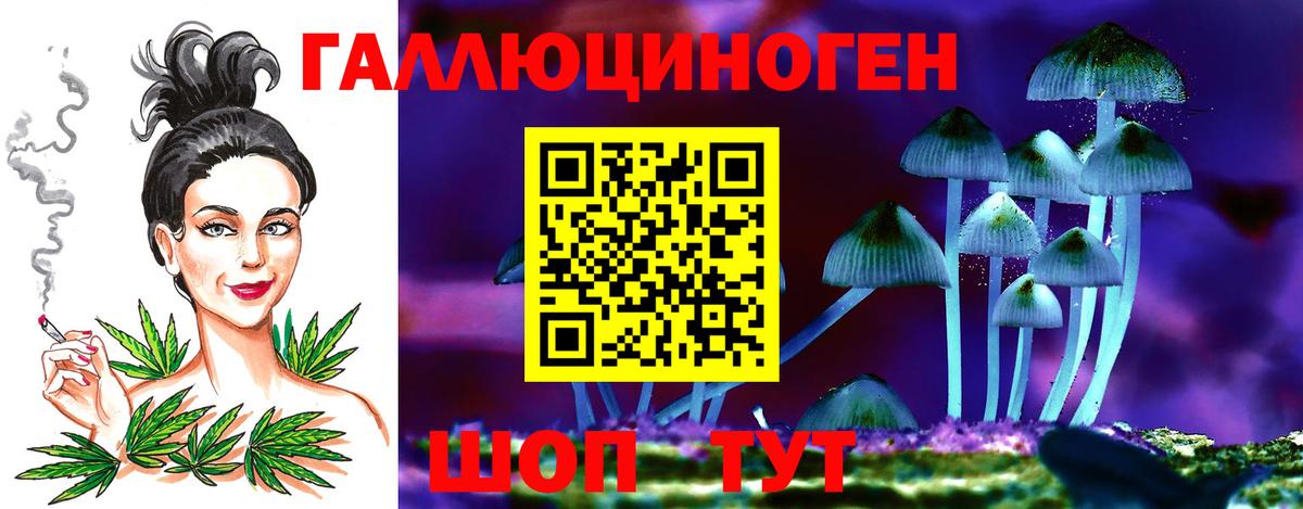 Псилоцибиновые грибы Cubensis Гагарин